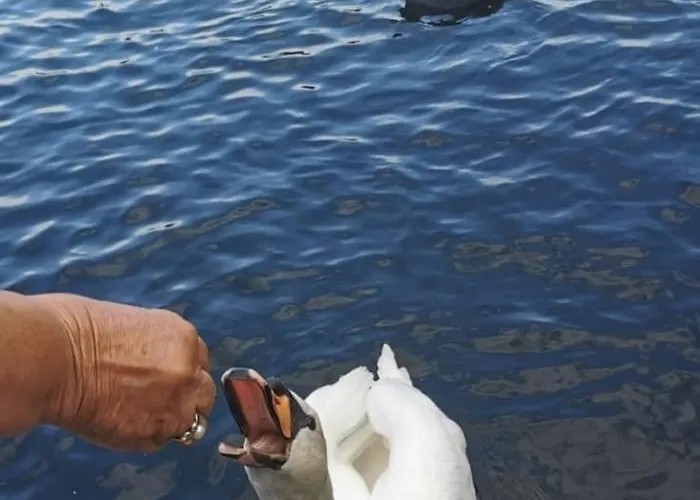 C'est La Vie Houseboat Nederhorst den Berg