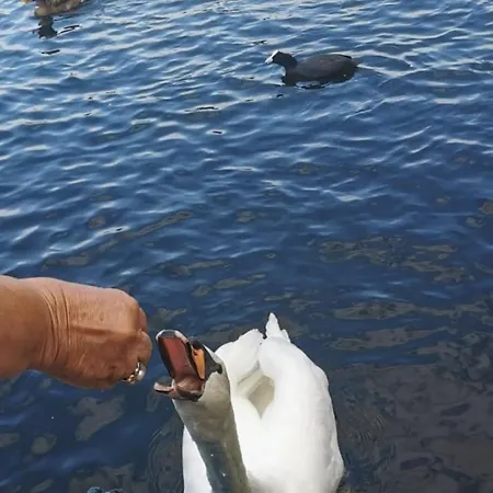 C'est La Vie Houseboat Nederhorst den Berg